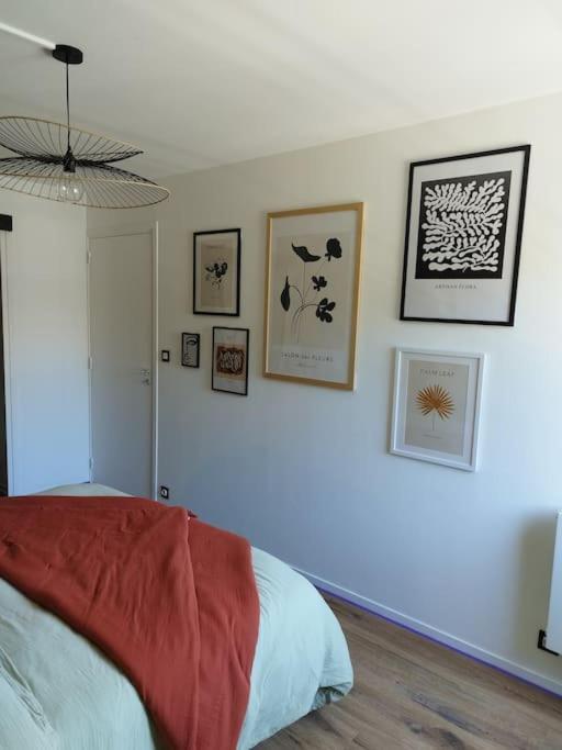 Appartement Au Coeur De Paimpol Exteriör bild